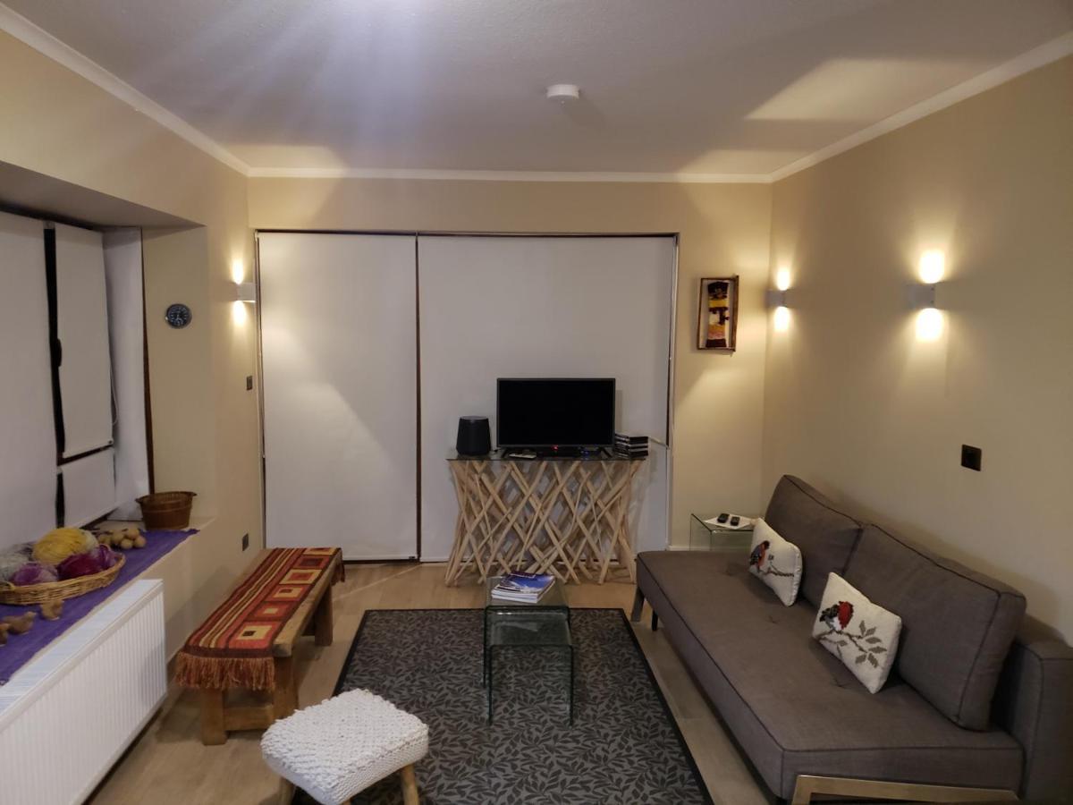 Valle Nevado Vip Apartment Ski Out-In エクステリア 写真